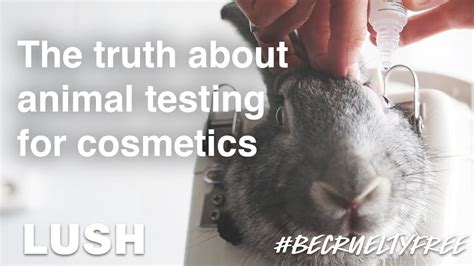 chanel tierversuche|is chanel animal testing.